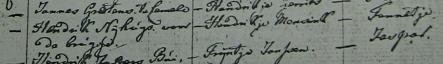 Fennigje Hendriks Nijhuis doopboek