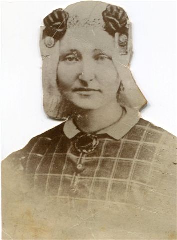 Hendrica Petronella van den Bergh II