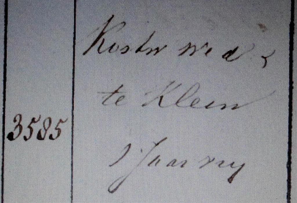 Hendricus Andreas Helsloot 1854 militieregister II