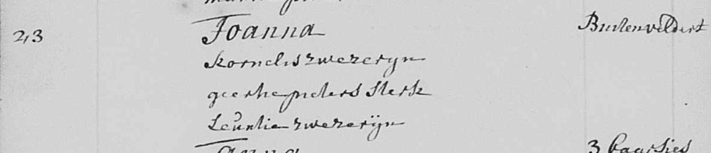 Joanna Zwezerijn 1741 doopboek