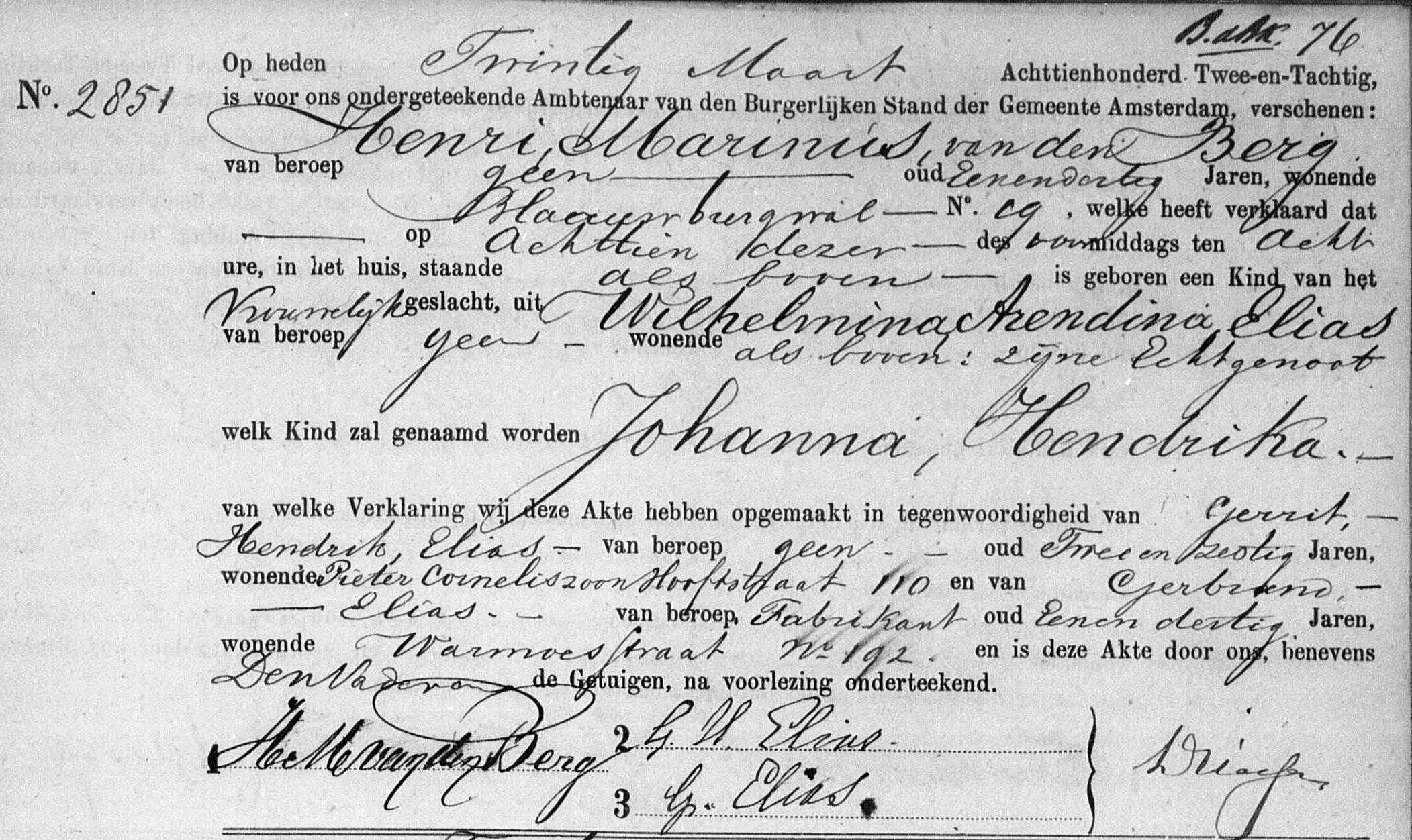 Johanna Hendrika van den Berg geboorteakte